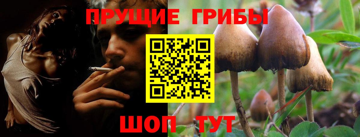 Галлюциногенные грибы Psilocybine cubensis  Галлюциногенные грибы мицелий  Зима  Вход с VPN 